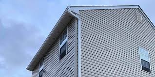 Historical Building Siding Restoration in Scissors, TX